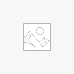 Premium Guest Post Packages